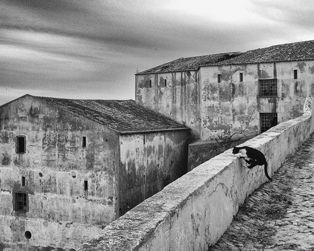 Zen master, Revelim Fort, Sines, Portugal. 2020