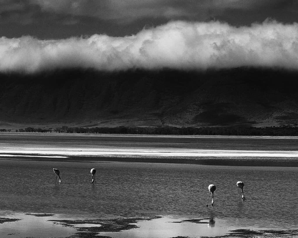 Ngorongoro crater, Tanzania. 2002