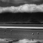 Ngorongoro crater, Tanzania. 2002