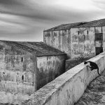 Zen master, Revelim Fort, Sines, Portugal. 2020