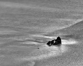 Smooth Rock, Study 1, Sines, Portugal. 2020