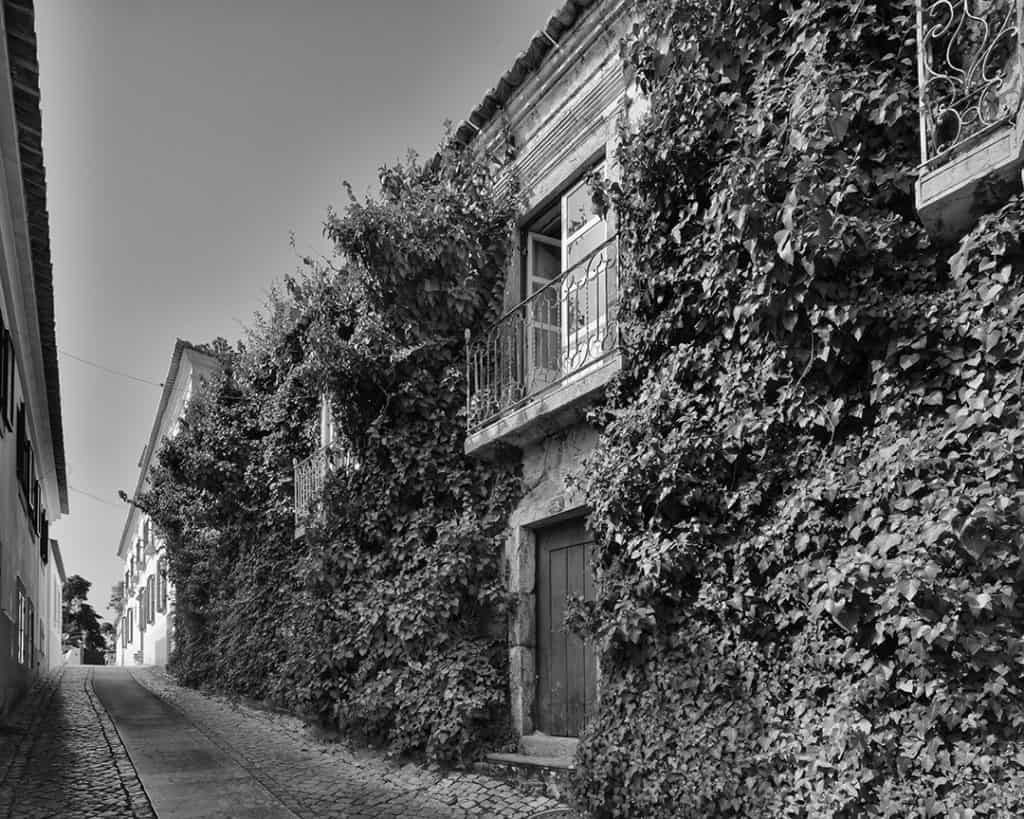 House of Ivy, Santiago do Cacém, Portugal. 2022